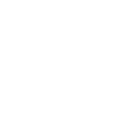 Hertha BSC